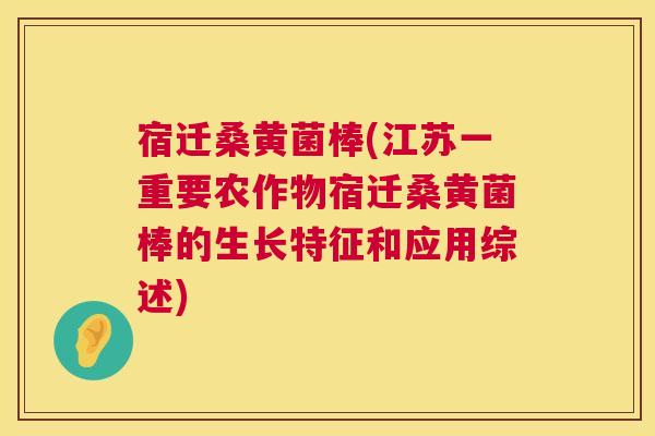 宿迁桑黄菌棒(江苏一重要农作物宿迁桑黄菌棒的生长特征和应用综述) 宿迁桑黄菌棒(江苏一重要农作物宿迁桑黄菌棒的生长特征和应用综述)