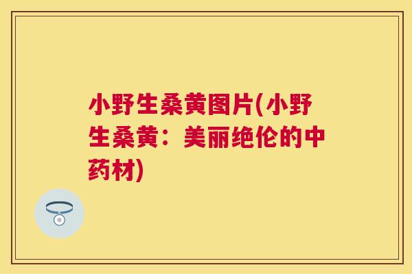 小野生桑黄图片(小野生桑黄:美丽绝伦的材) 小野生桑黄图片(小野生桑黄:美丽绝伦的材)