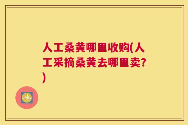 人工桑黄哪里收购(人工采摘桑黄去哪里卖?) 人工桑黄哪里收购(人工采摘桑黄去哪里卖?)