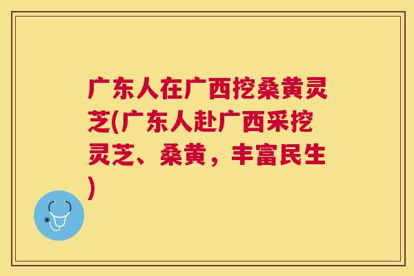广东人在广西挖桑黄灵芝(广东人赴广西采挖灵芝、桑黄,丰富民生) 广东人在广西挖桑黄灵芝(广东人赴广西采挖灵芝、桑黄,丰富民生)
