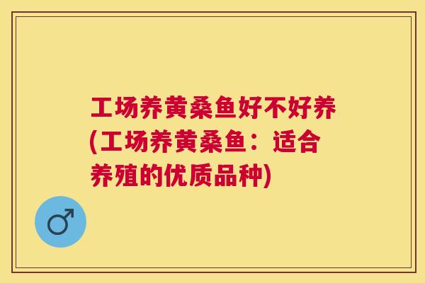工场养黄桑鱼好不好养(工场养黄桑鱼:适合养殖的优质品种) 工场养黄桑鱼好不好养(工场养黄桑鱼:适合养殖的优质品种)