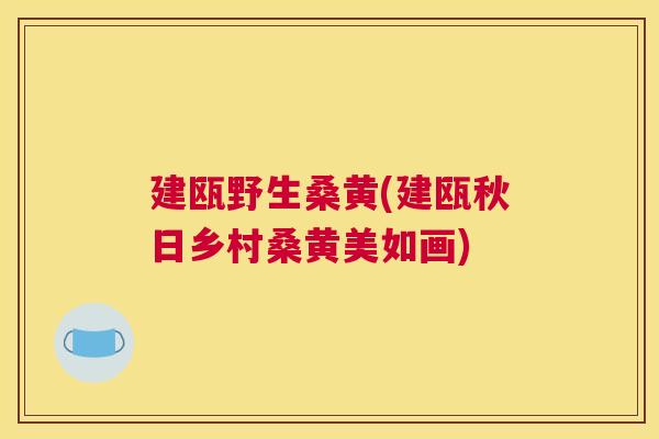 建瓯野生桑黄(建瓯秋日乡村桑黄美如画) 建瓯野生桑黄(建瓯秋日乡村桑黄美如画)