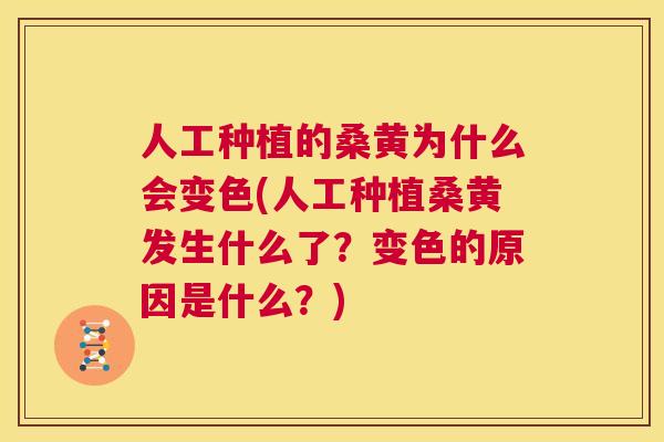 人工种植的桑黄为什么会变色(人工种植桑黄发生什么了?变色的原因是什么?) 人工种植的桑黄为什么会变色(人工种植桑黄发生什么了?变色的原因是什么?)