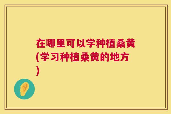 在哪里可以学种植桑黄(学习种植桑黄的地方) 在哪里可以学种植桑黄(学习种植桑黄的地方)
