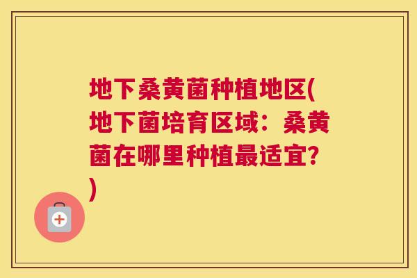 地下桑黄菌种植地区(地下菌培育区域:桑黄菌在哪里种植适宜?) 地下桑黄菌种植地区(地下菌培育区域:桑黄菌在哪里种植适宜?)