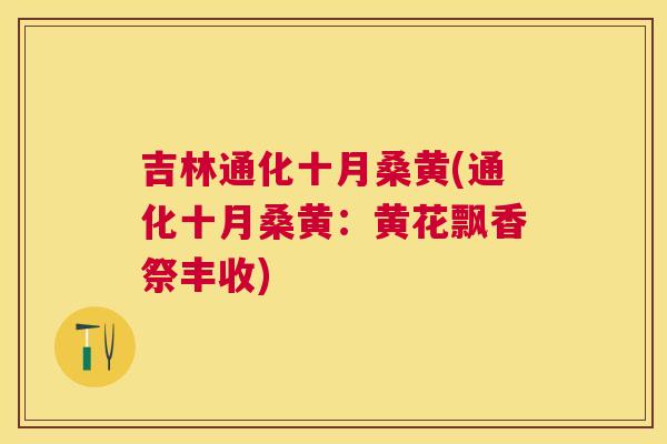 吉林通化十月桑黄(通化十月桑黄:黄花飘香祭丰收) 吉林通化十月桑黄(通化十月桑黄:黄花飘香祭丰收)