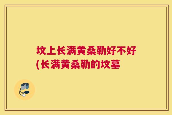 坟上长满黄桑勒好不好(长满黄桑勒的坟墓 坟上长满黄桑勒好不好(长满黄桑勒的坟墓