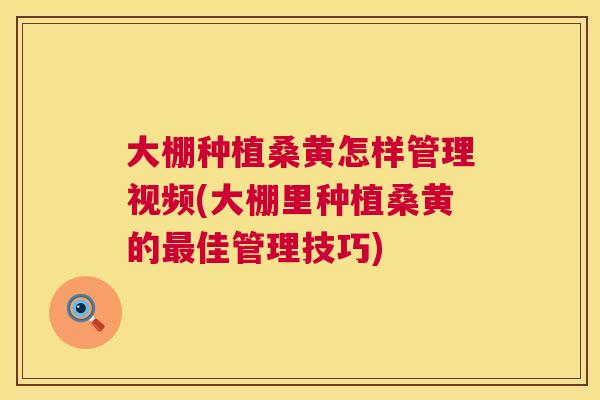 大棚种植桑黄怎样管理视频(大棚里种植桑黄的佳管理技巧)