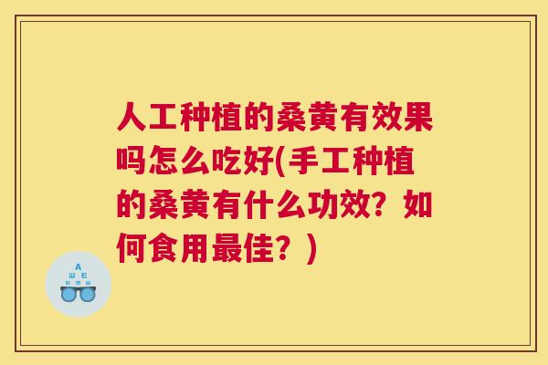 人工种植的桑黄有效果吗怎么吃好(手工种植的桑黄有什么功效?如何食用佳?) 人工种植的桑黄有效果吗怎么吃好(手工种植的桑黄有什么功效?如何食用佳?)
