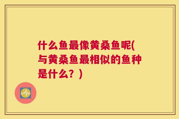 什么鱼像黄桑鱼呢(与黄桑鱼相似的鱼种是什么?) 什么鱼像黄桑鱼呢(与黄桑鱼相似的鱼种是什么?)