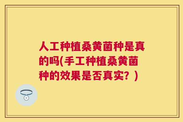 人工种植桑黄菌种是真的吗(手工种植桑黄菌种的效果是否真实?) 人工种植桑黄菌种是真的吗(手工种植桑黄菌种的效果是否真实?)