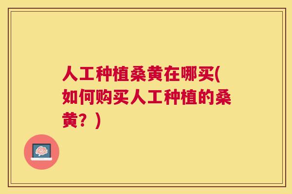 人工种植桑黄在哪买(如何购买人工种植的桑黄?) 人工种植桑黄在哪买(如何购买人工种植的桑黄?)