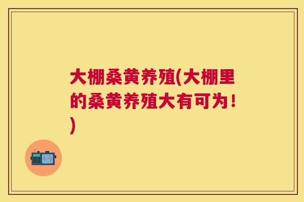 大棚桑黄养殖(大棚里的桑黄养殖大有可为!) 大棚桑黄养殖(大棚里的桑黄养殖大有可为!)