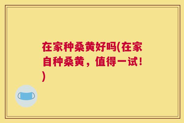在家种桑黄好吗(在家自种桑黄,值得一试!) 在家种桑黄好吗(在家自种桑黄,值得一试!)