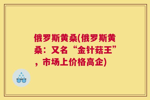 俄罗斯黄桑(俄罗斯黄桑:又名“金针菇王”,市场上价格高企) 俄罗斯黄桑(俄罗斯黄桑:又名“金针菇王”,市场上价格高企)