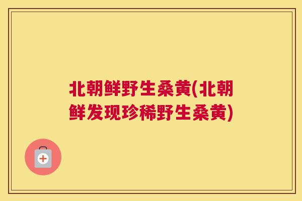 北朝鲜野生桑黄(北朝鲜发现珍稀野生桑黄) 北朝鲜野生桑黄(北朝鲜发现珍稀野生桑黄)