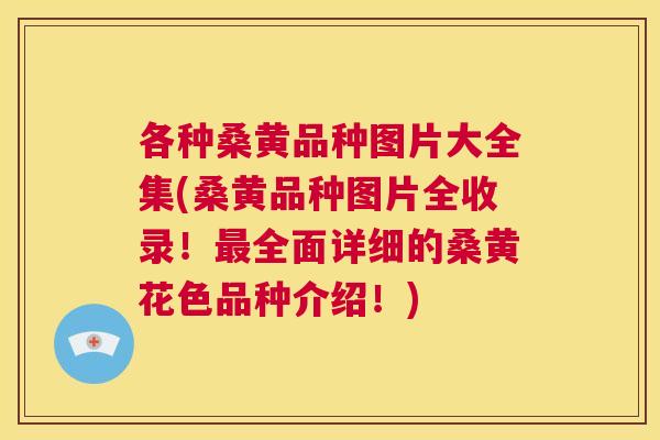 各种桑黄品种图片大全集(桑黄品种图片全收录!全面详细的桑黄花色品种介绍!) 各种桑黄品种图片大全集(桑黄品种图片全收录!全面详细的桑黄花色品种介绍!)