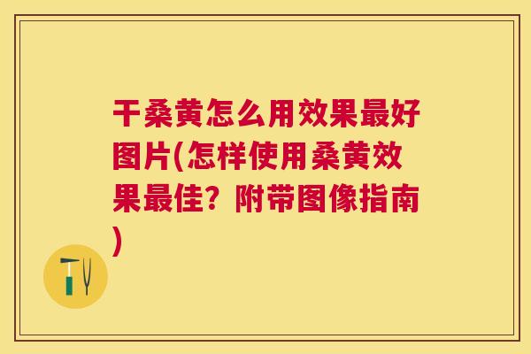 干桑黄怎么用效果好图片(怎样使用桑黄效果佳？附带图像指南)