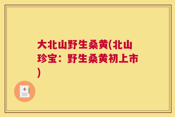 大北山野生桑黄(北山珍宝:野生桑黄初上市) 大北山野生桑黄(北山珍宝:野生桑黄初上市)
