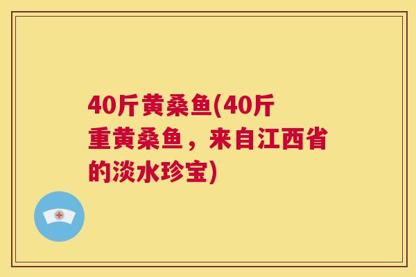 40斤黄桑鱼(40斤重黄桑鱼,来自江西省的淡水珍宝) 40斤黄桑鱼(40斤重黄桑鱼,来自江西省的淡水珍宝)