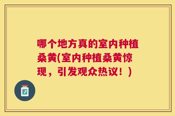 哪个地方真的室内种植桑黄(室内种植桑黄惊现,引发观众热议!) 哪个地方真的室内种植桑黄(室内种植桑黄惊现,引发观众热议!)