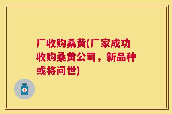 厂收购桑黄(厂家成功收购桑黄公司,新品种或将问世) 厂收购桑黄(厂家成功收购桑黄公司,新品种或将问世)