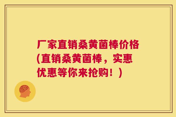 厂家直销桑黄菌棒价格(直销桑黄菌棒,实惠优惠等你来抢购!) 厂家直销桑黄菌棒价格(直销桑黄菌棒,实惠优惠等你来抢购!)