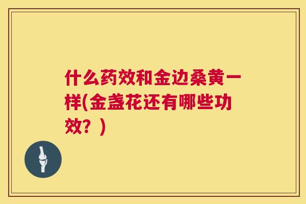 什么和金边桑黄一样(金盏花还有哪些功效?) 什么和金边桑黄一样(金盏花还有哪些功效?)