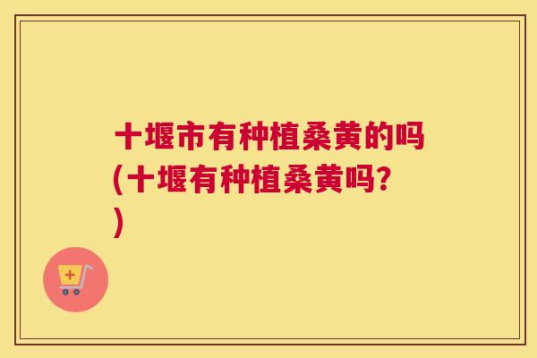 十堰市有种植桑黄的吗(十堰有种植桑黄吗?) 十堰市有种植桑黄的吗(十堰有种植桑黄吗?)