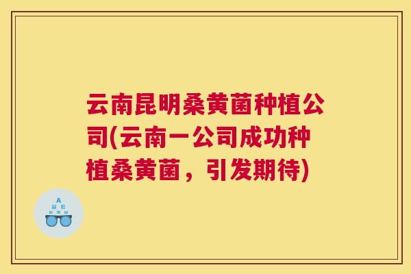 云南昆明桑黄菌种植公司(云南一公司成功种植桑黄菌,引发期待) 云南昆明桑黄菌种植公司(云南一公司成功种植桑黄菌,引发期待)