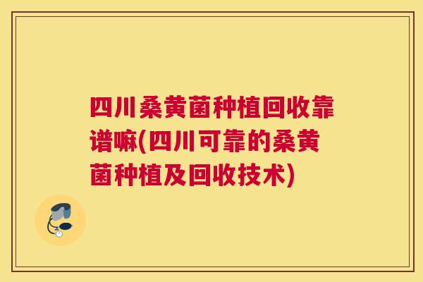 四川桑黄菌种植回收靠谱嘛(四川可靠的桑黄菌种植及回收技术)