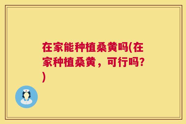 在家能种植桑黄吗(在家种植桑黄，可行吗？)