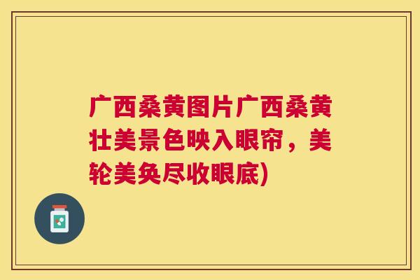 广西桑黄图片广西桑黄壮美景色映入眼帘,美轮美奂尽收眼底) 广西桑黄图片广西桑黄壮美景色映入眼帘,美轮美奂尽收眼底)