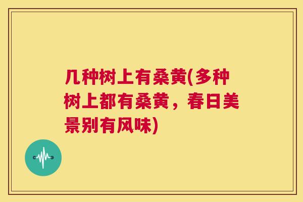 几种树上有桑黄(多种树上都有桑黄,春日美景别有风味) 几种树上有桑黄(多种树上都有桑黄,春日美景别有风味)