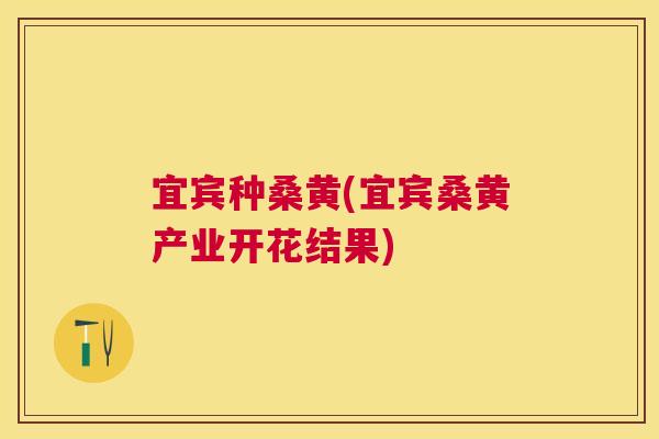 宜宾种桑黄(宜宾桑黄产业开花结果) 宜宾种桑黄(宜宾桑黄产业开花结果)