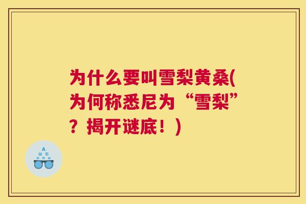 为什么要叫雪梨黄桑(为何称悉尼为“雪梨”?揭开谜底!) 为什么要叫雪梨黄桑(为何称悉尼为“雪梨”?揭开谜底!)