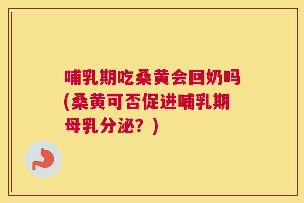 哺乳期吃桑黄会回奶吗(桑黄可否促进哺乳期母乳分泌?) 哺乳期吃桑黄会回奶吗(桑黄可否促进哺乳期母乳分泌?)