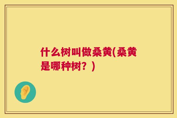 什么树叫做桑黄(桑黄是哪种树?) 什么树叫做桑黄(桑黄是哪种树?)