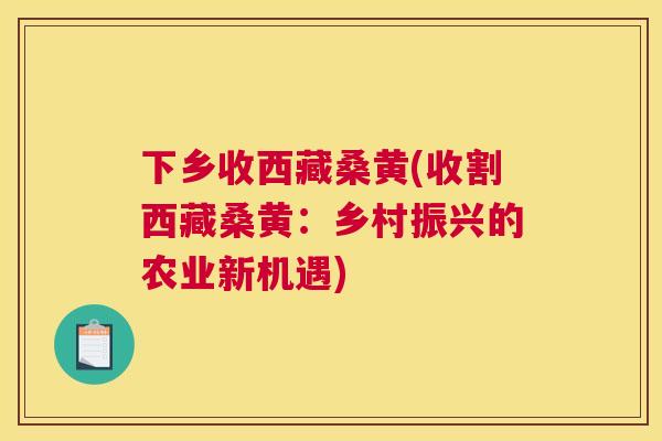 下乡收西藏桑黄(收割西藏桑黄:乡村振兴的农业新机遇) 下乡收西藏桑黄(收割西藏桑黄:乡村振兴的农业新机遇)