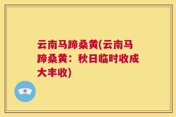 云南马蹄桑黄(云南马蹄桑黄:秋日临时收成大丰收) 云南马蹄桑黄(云南马蹄桑黄:秋日临时收成大丰收)