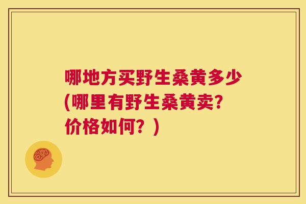 哪地方买野生桑黄多少(哪里有野生桑黄卖?价格如何?) 哪地方买野生桑黄多少(哪里有野生桑黄卖?价格如何?)