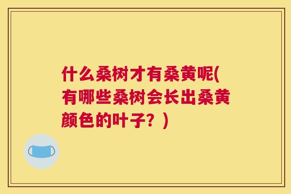 什么桑树才有桑黄呢(有哪些桑树会长出桑黄颜色的叶子?) 什么桑树才有桑黄呢(有哪些桑树会长出桑黄颜色的叶子?)