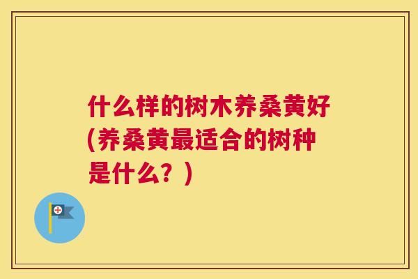 什么样的树木养桑黄好(养桑黄适合的树种是什么?) 什么样的树木养桑黄好(养桑黄适合的树种是什么?)