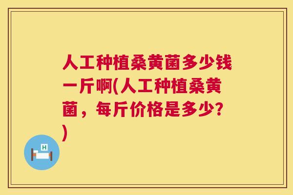 人工种植桑黄菌多少钱一斤啊(人工种植桑黄菌,每斤价格是多少?) 人工种植桑黄菌多少钱一斤啊(人工种植桑黄菌,每斤价格是多少?)