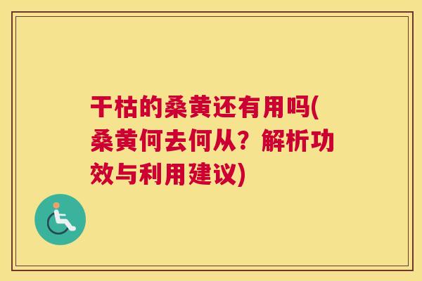干枯的桑黄还有用吗(桑黄何去何从？解析功效与利用建议)