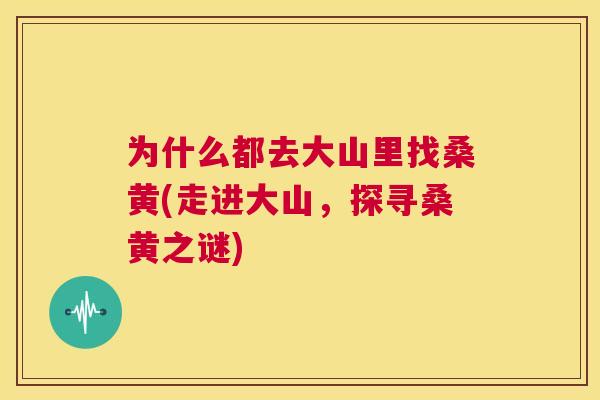 为什么都去大山里找桑黄(走进大山,探寻桑黄之谜) 为什么都去大山里找桑黄(走进大山,探寻桑黄之谜)