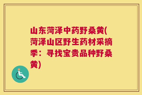 山东菏泽野桑黄(菏泽山区野生药材采摘季:寻找宝贵品种野桑黄) 山东菏泽野桑黄(菏泽山区野生药材采摘季:寻找宝贵品种野桑黄)