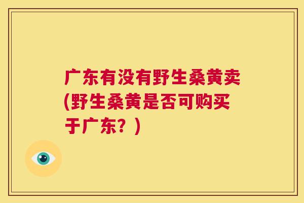 广东有没有野生桑黄卖(野生桑黄是否可购买于广东?) 广东有没有野生桑黄卖(野生桑黄是否可购买于广东?)