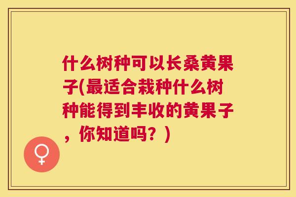 什么树种可以长桑黄果子(适合栽种什么树种能得到丰收的黄果子,你知道吗?) 什么树种可以长桑黄果子(适合栽种什么树种能得到丰收的黄果子,你知道吗?)