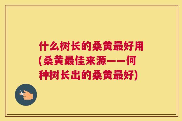什么树长的桑黄好用(桑黄佳来源——何种树长出的桑黄好) 什么树长的桑黄好用(桑黄佳来源——何种树长出的桑黄好)